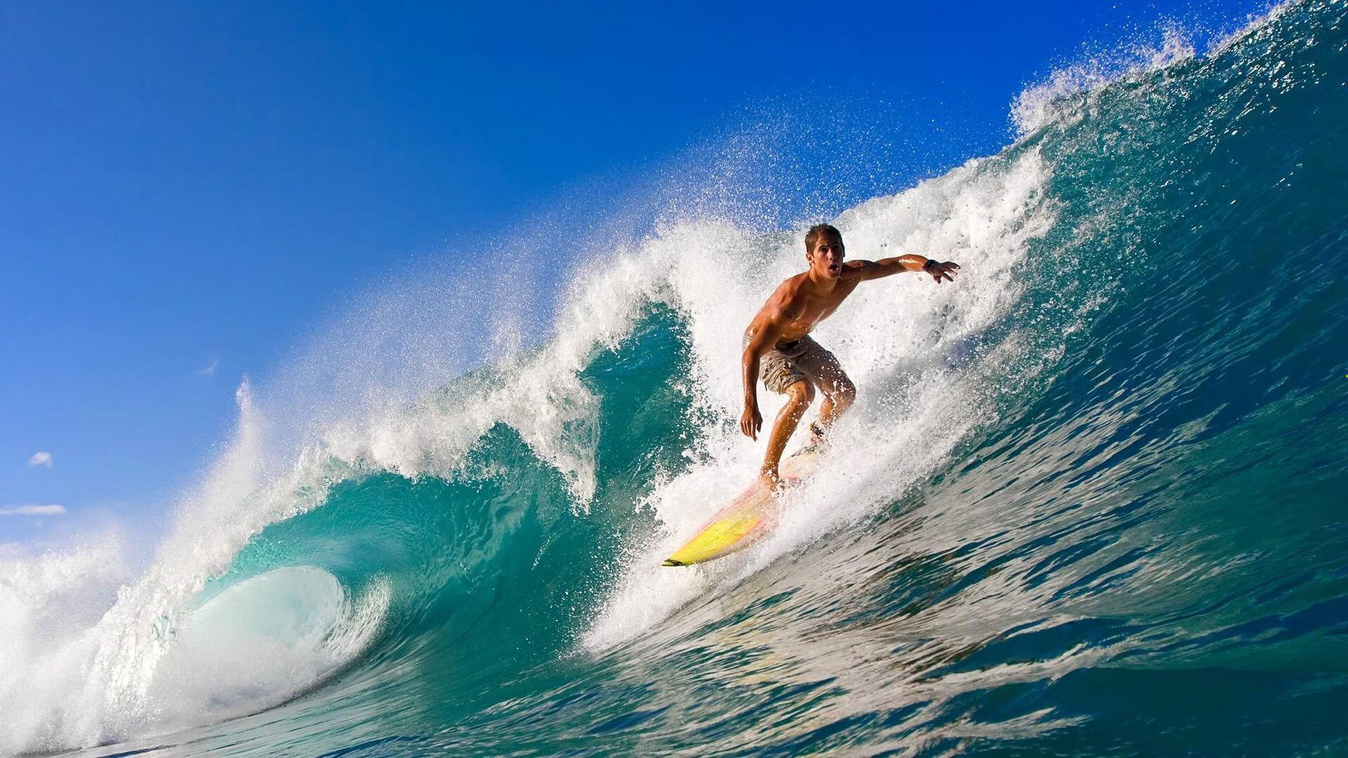 全国游泳锦标赛圆满落幕，新星闪耀老将坚守