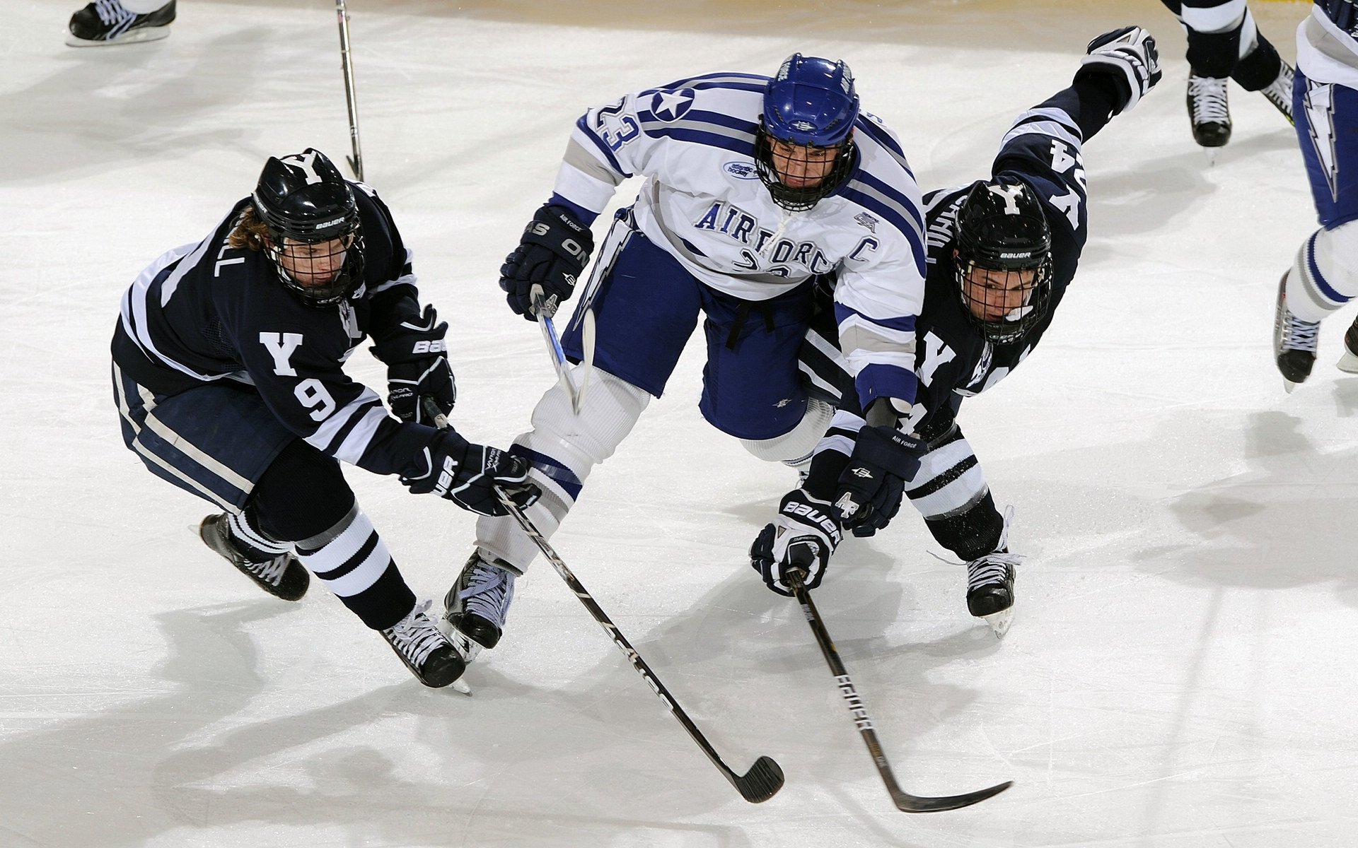 中国游泳队亚运会再创佳绩 新秀老将齐发力斩获多枚金牌